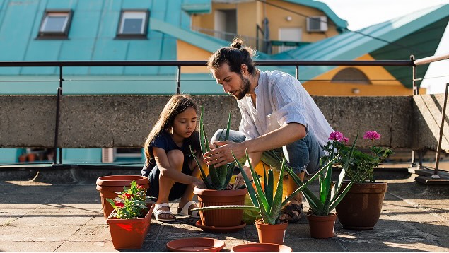 Dad gardening with child