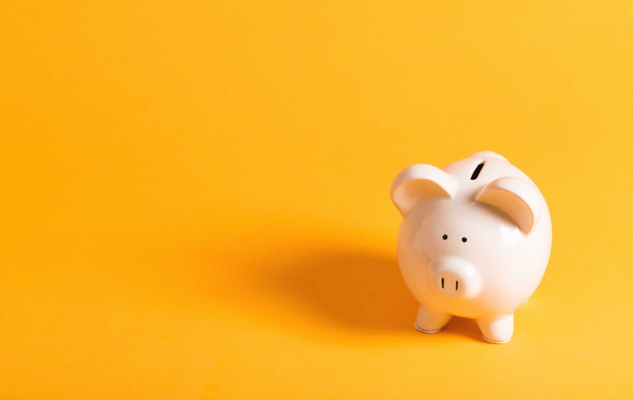A ceramic piggy bank is placed against a bright sunny background.