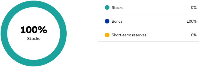 100% stocks data visualization