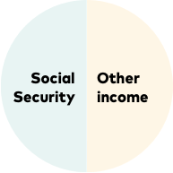 A circle says “Social Security” in one half while the other half says “Other income”.