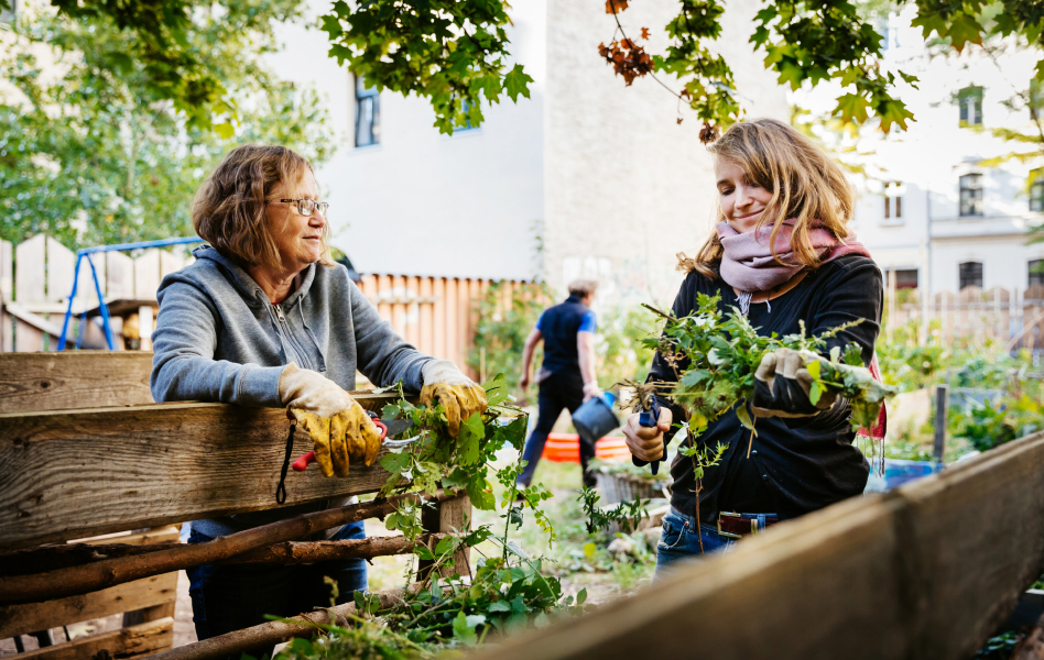 Two women working in a community garden.