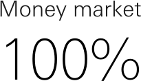 Money market 100%